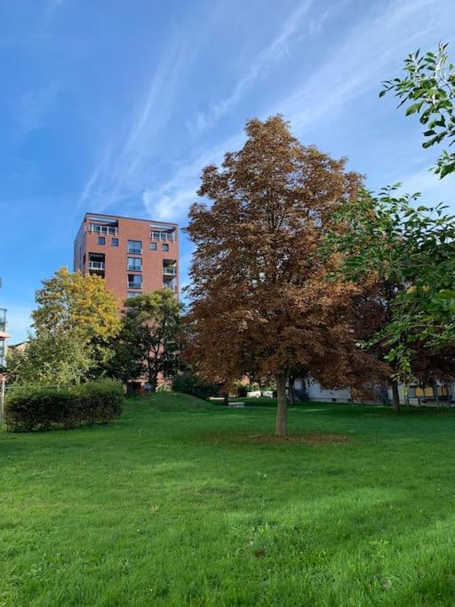 Eine Gemuetliche Einzimmerwohnung Ostfildern Extérieur photo